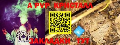 прущие грибы Гусев