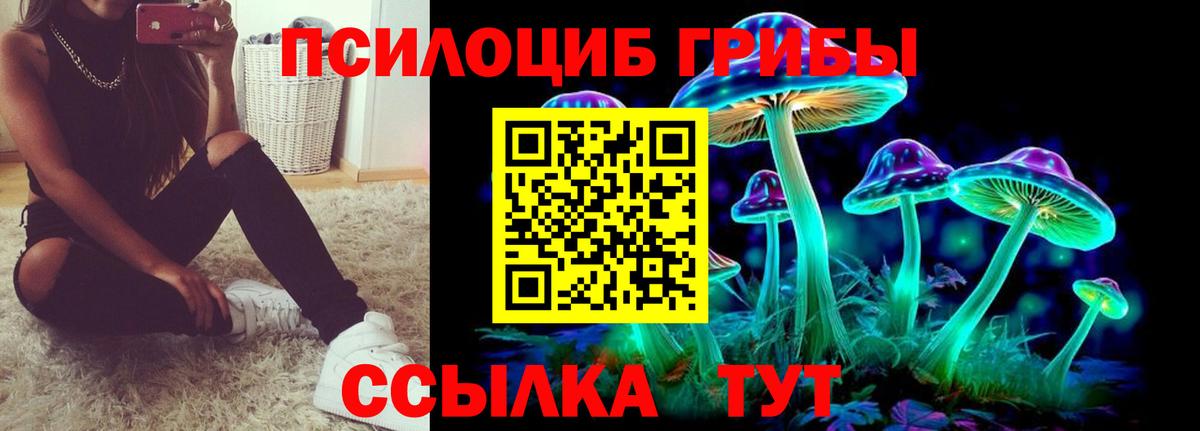 Галлюциногенные грибы мухоморы  Вход с VPN  Волоколамск 